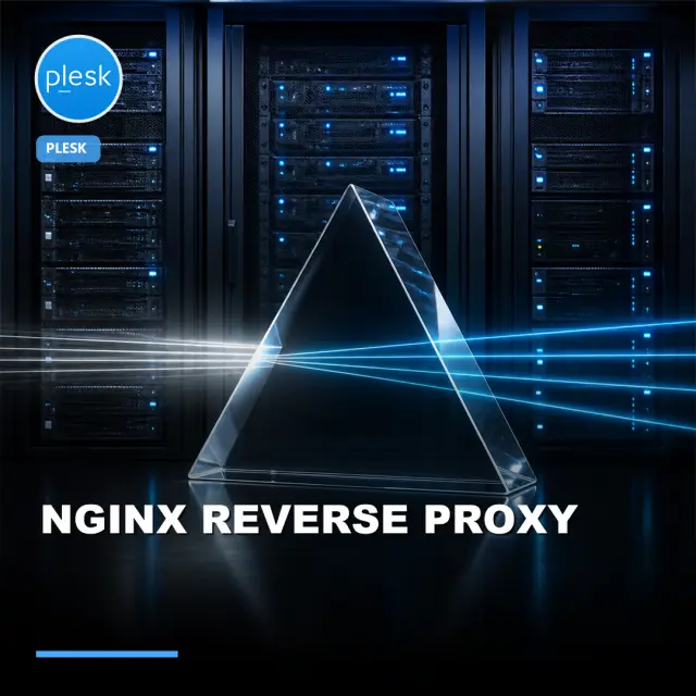 I Will Convert Plesk Apache to Nginx Reverse Proxy